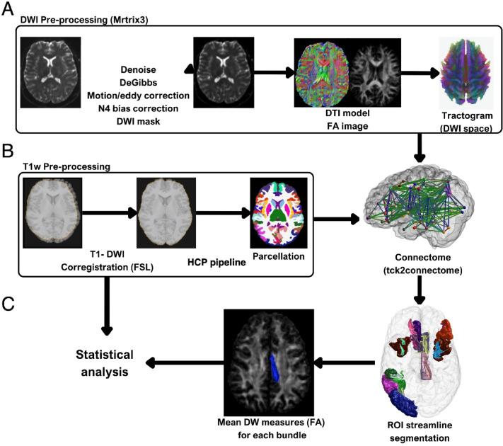 https://cdn.ncbi.nlm.nih.gov/pmc/blobs/6e38/12069712/295b03fdb582/41598_2025_1465_Fig4_HTML.jpg