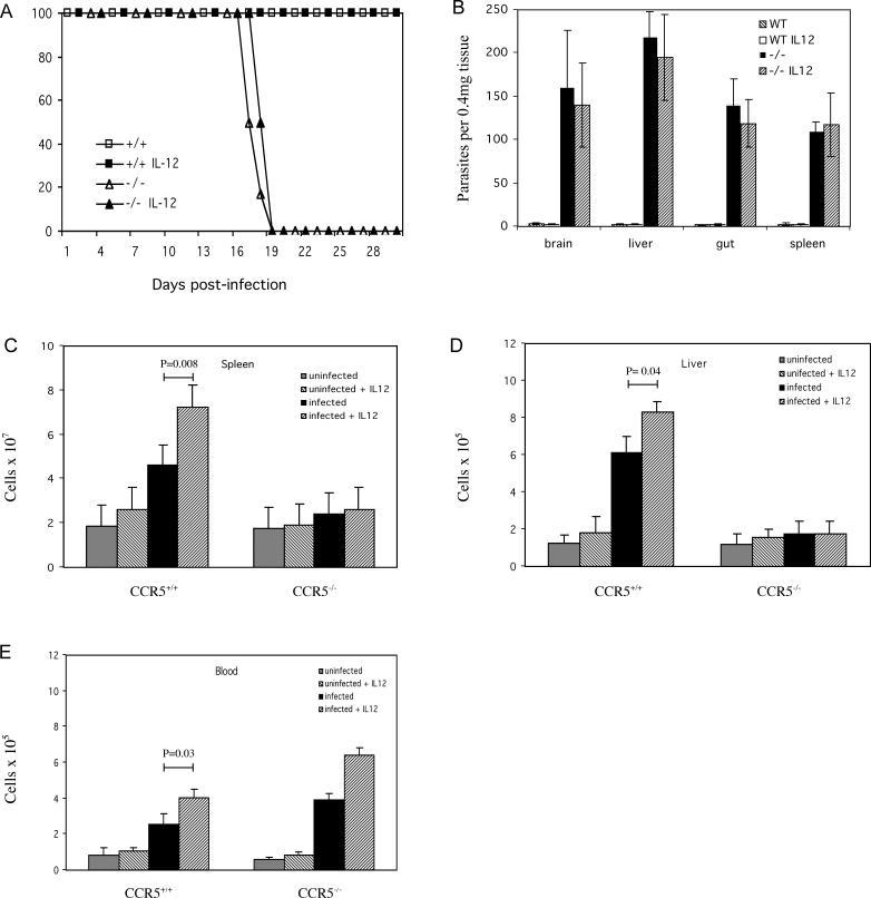 https://cdn.ncbi.nlm.nih.gov/pmc/blobs/6e39/1483236/f0a658b9cd4a/ppat.0020049.g008.jpg