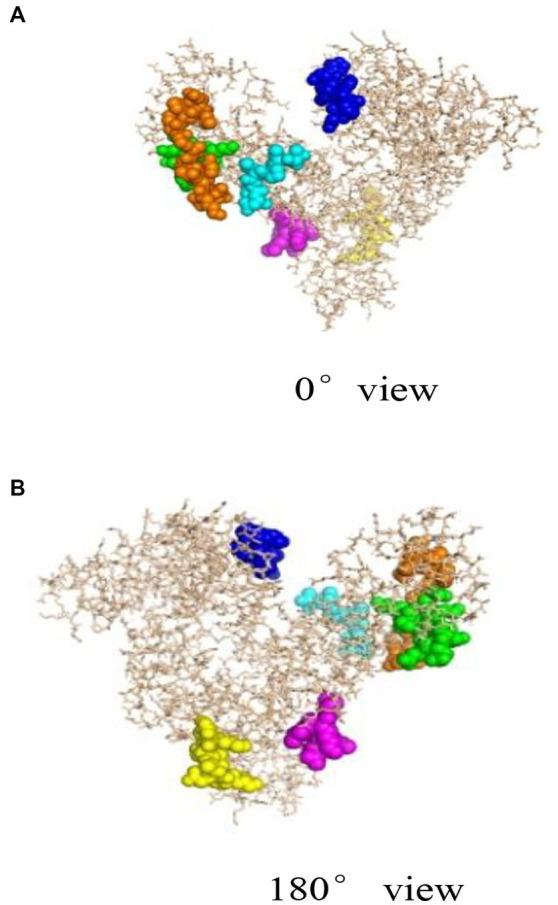 https://cdn.ncbi.nlm.nih.gov/pmc/blobs/6e3a/10282150/457f3232d271/fnut-10-1205671-g003.jpg