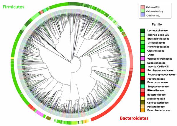 https://cdn.ncbi.nlm.nih.gov/pmc/blobs/6e42/3426808/22cd47fbe5a4/1471-2105-13-S13-S11-6.jpg