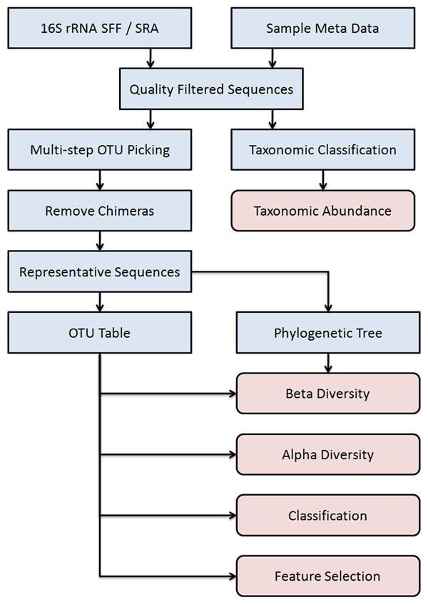 https://cdn.ncbi.nlm.nih.gov/pmc/blobs/6e42/3426808/47f02b52b9c0/1471-2105-13-S13-S11-1.jpg