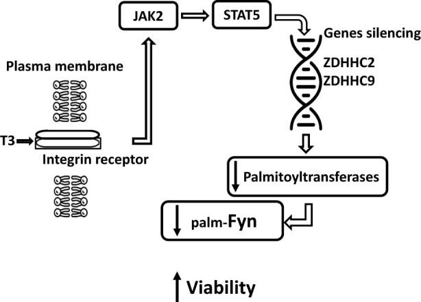 https://cdn.ncbi.nlm.nih.gov/pmc/blobs/6e44/11306964/0feb4ff965a7/j_tnsci-2022-0347-fig005.jpg