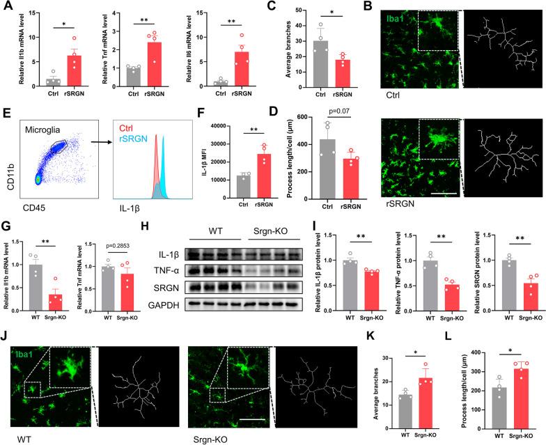 https://cdn.ncbi.nlm.nih.gov/pmc/blobs/6e46/10826034/2f6c4e5e9c17/12974_2024_3026_Fig5_HTML.jpg