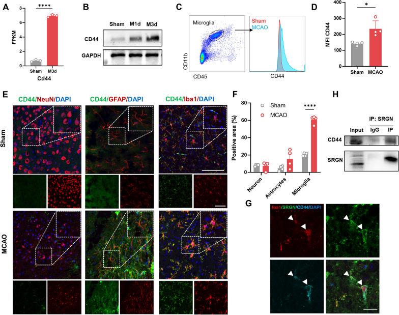 https://cdn.ncbi.nlm.nih.gov/pmc/blobs/6e46/10826034/61a5b60ef227/12974_2024_3026_Fig3_HTML.jpg