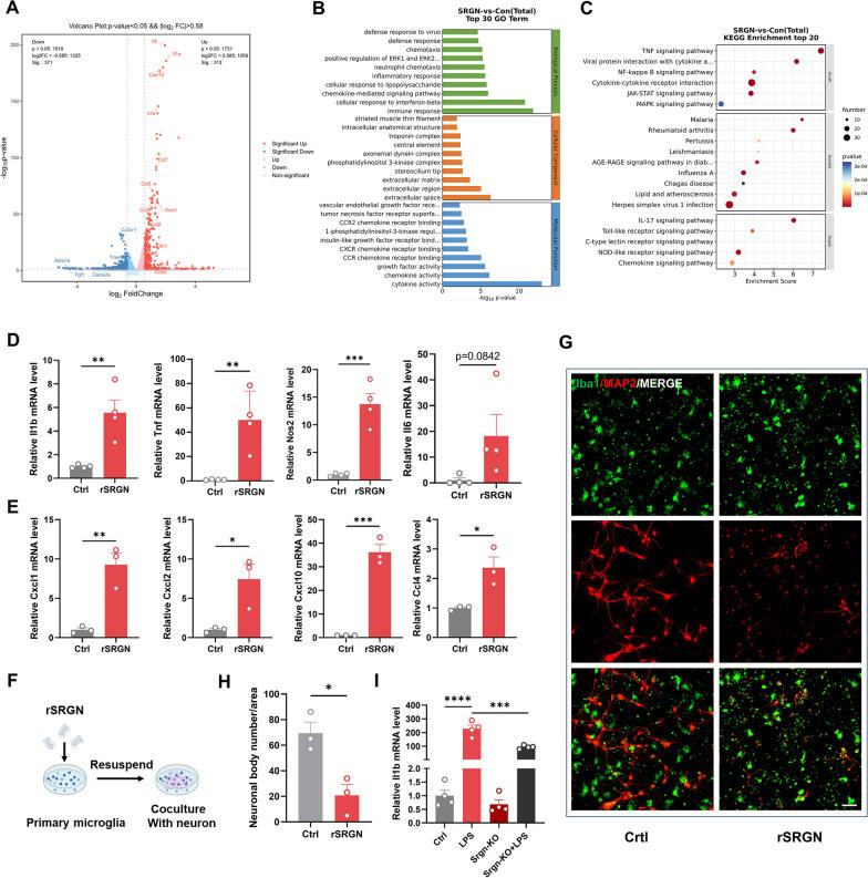 https://cdn.ncbi.nlm.nih.gov/pmc/blobs/6e46/10826034/b2bfc63d5b51/12974_2024_3026_Fig4_HTML.jpg