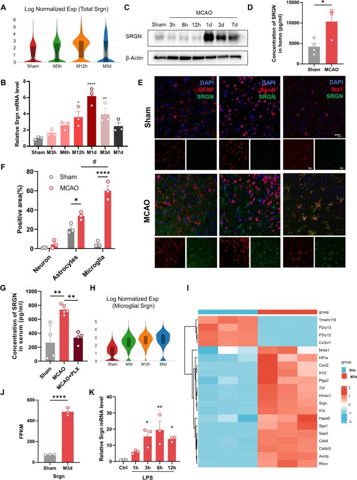 https://cdn.ncbi.nlm.nih.gov/pmc/blobs/6e46/10826034/c283310ad0c5/12974_2024_3026_Fig1_HTML.jpg