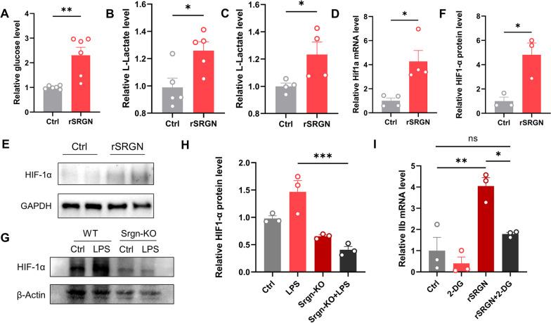 https://cdn.ncbi.nlm.nih.gov/pmc/blobs/6e46/10826034/dd01858202ff/12974_2024_3026_Fig8_HTML.jpg
