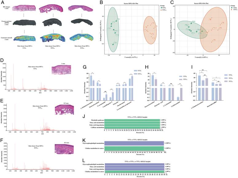 https://cdn.ncbi.nlm.nih.gov/pmc/blobs/6e47/11745691/419c9bdb8095/js9-111-0257-g005.jpg