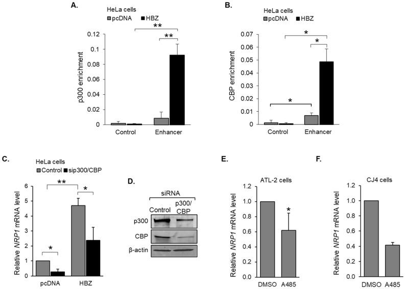 https://cdn.ncbi.nlm.nih.gov/pmc/blobs/6e48/10305173/b0c4371b6366/pathogens-12-00831-g004.jpg