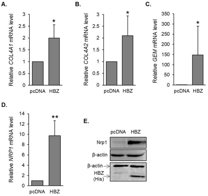 https://cdn.ncbi.nlm.nih.gov/pmc/blobs/6e48/10305173/f8fcd337d41c/pathogens-12-00831-g001.jpg