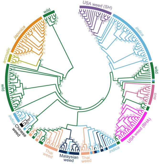 https://cdn.ncbi.nlm.nih.gov/pmc/blobs/6e48/10881511/bd85ffc72bf3/41467_2024_45447_Fig1_HTML.jpg