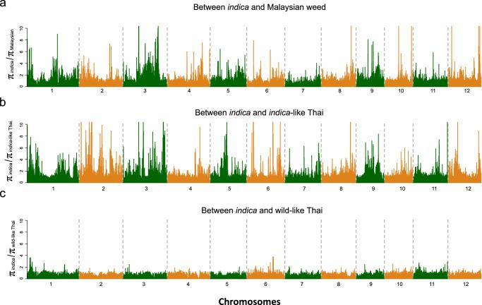 https://cdn.ncbi.nlm.nih.gov/pmc/blobs/6e48/10881511/eed715cdb075/41467_2024_45447_Fig4_HTML.jpg