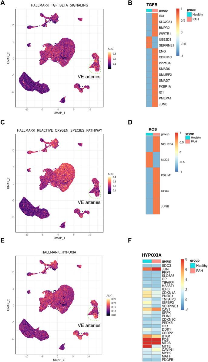 https://cdn.ncbi.nlm.nih.gov/pmc/blobs/6e48/10995363/dcbbd37ea9f5/fgene-15-1328234-g003.jpg