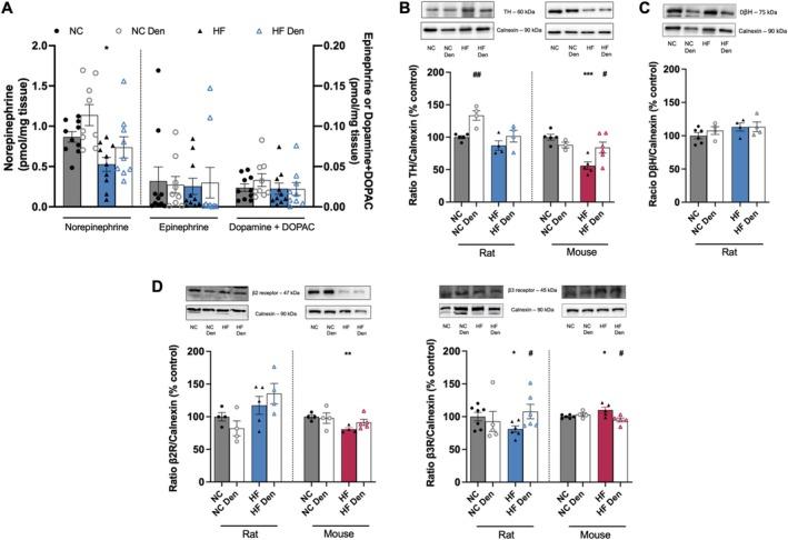 https://cdn.ncbi.nlm.nih.gov/pmc/blobs/6e49/12186215/04736e24e747/APHA-241-e70074-g003.jpg