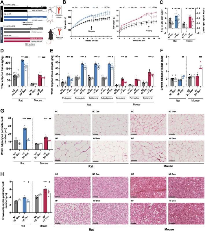 https://cdn.ncbi.nlm.nih.gov/pmc/blobs/6e49/12186215/15fd0d1ba850/APHA-241-e70074-g004.jpg