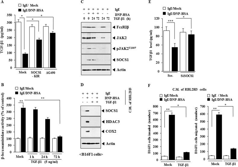 https://cdn.ncbi.nlm.nih.gov/pmc/blobs/6e49/5609911/467cd508da03/oncotarget-08-63155-g013.jpg