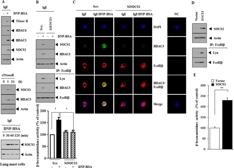 https://cdn.ncbi.nlm.nih.gov/pmc/blobs/6e49/5609911/7e9a097c44ab/oncotarget-08-63155-g001.jpg