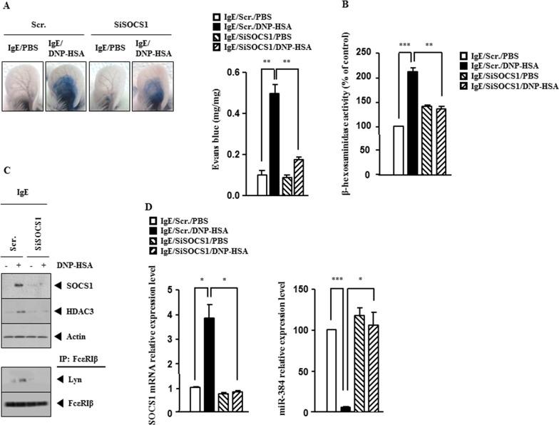 https://cdn.ncbi.nlm.nih.gov/pmc/blobs/6e49/5609911/ca76bc161905/oncotarget-08-63155-g003.jpg