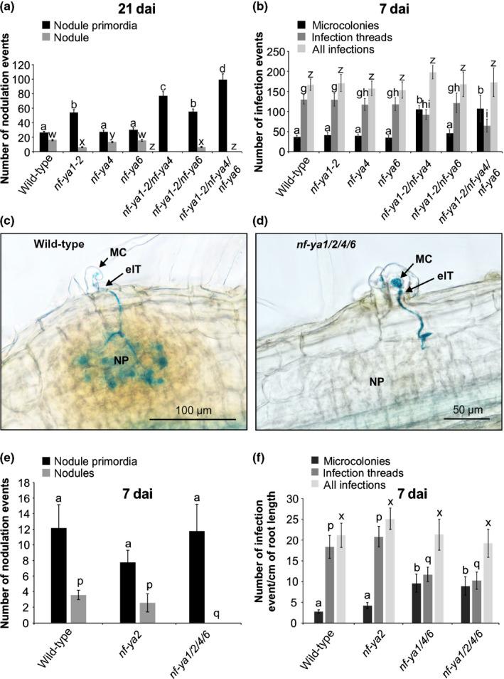 https://cdn.ncbi.nlm.nih.gov/pmc/blobs/6e49/7984406/5b725f071837/NPH-229-1535-g005.jpg