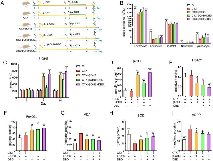 https://cdn.ncbi.nlm.nih.gov/pmc/blobs/6e4a/10132245/eee1ad485551/IPHB_A_2201606_F0007_C.jpg
