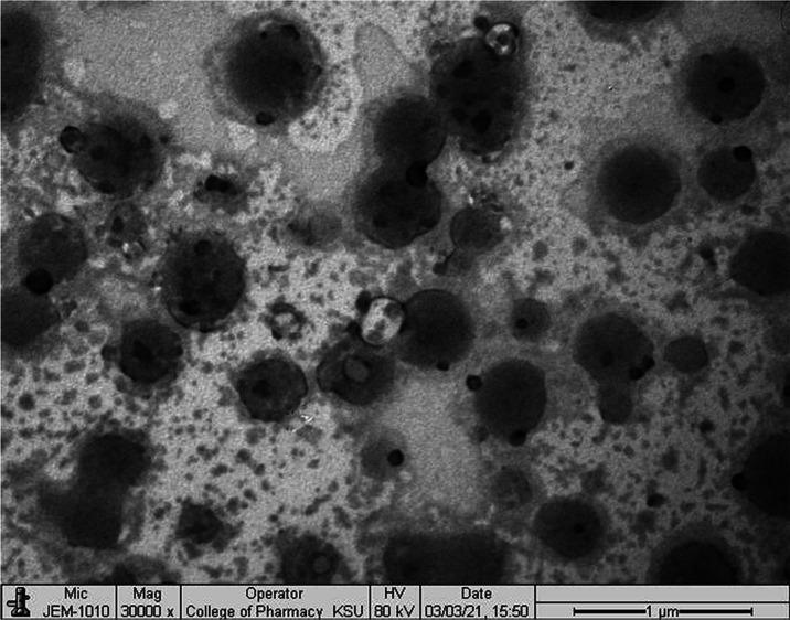 https://cdn.ncbi.nlm.nih.gov/pmc/blobs/6e4c/8757359/a240c92aa02b/ao1c05628_0004.jpg