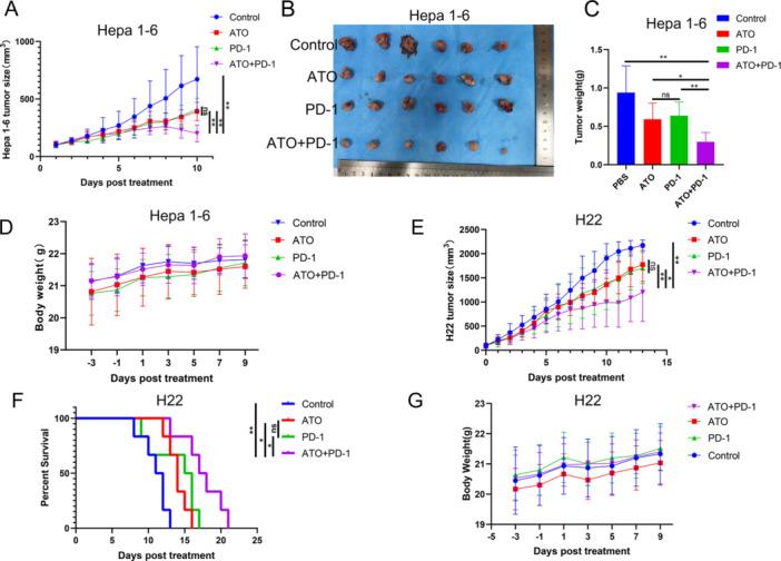 https://cdn.ncbi.nlm.nih.gov/pmc/blobs/6e4d/12160338/1eec50055c45/IID3-13-e70214-g007.jpg