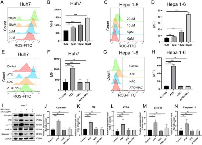 https://cdn.ncbi.nlm.nih.gov/pmc/blobs/6e4d/12160338/8d6bb881c303/IID3-13-e70214-g003.jpg