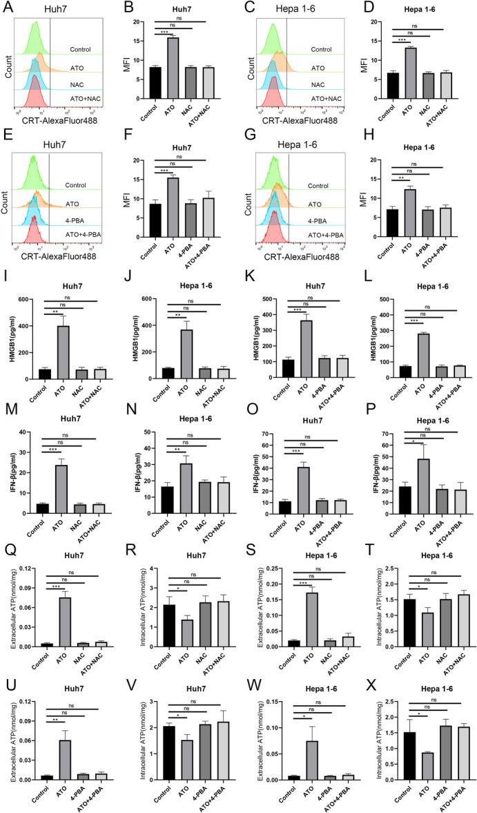 https://cdn.ncbi.nlm.nih.gov/pmc/blobs/6e4d/12160338/d8fca4944e17/IID3-13-e70214-g008.jpg