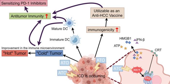 https://cdn.ncbi.nlm.nih.gov/pmc/blobs/6e4d/12160338/e8d1dc614aea/IID3-13-e70214-g006.jpg