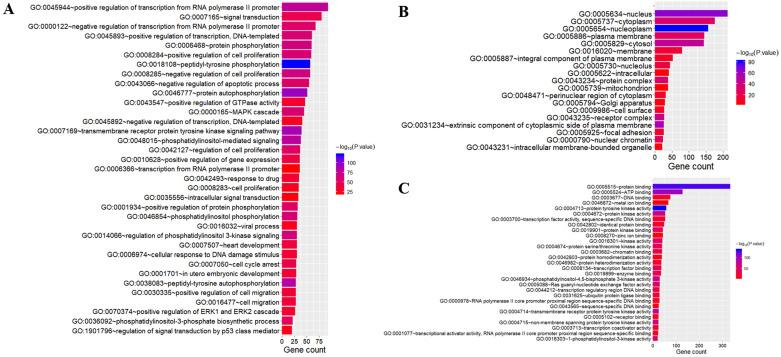 https://cdn.ncbi.nlm.nih.gov/pmc/blobs/6e4f/7738815/9474cd1b6d09/jcav12p0217g003.jpg