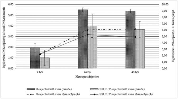 https://cdn.ncbi.nlm.nih.gov/pmc/blobs/6e50/5436676/9baace490453/pone.0177448.g002.jpg