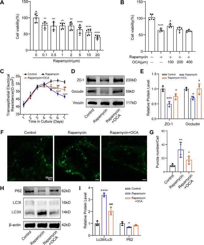 https://cdn.ncbi.nlm.nih.gov/pmc/blobs/6e52/11165768/23df94e0244e/12944_2024_2157_Fig6_HTML.jpg