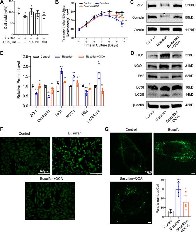 https://cdn.ncbi.nlm.nih.gov/pmc/blobs/6e52/11165768/4499013e8e94/12944_2024_2157_Fig5_HTML.jpg