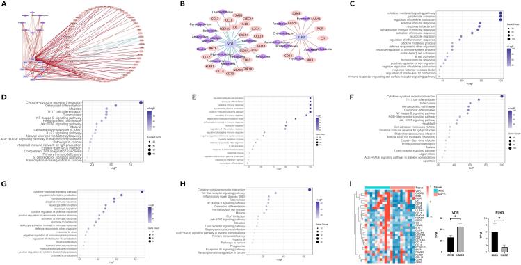 https://cdn.ncbi.nlm.nih.gov/pmc/blobs/6e52/8170125/0be1b19f9b62/gr5.jpg