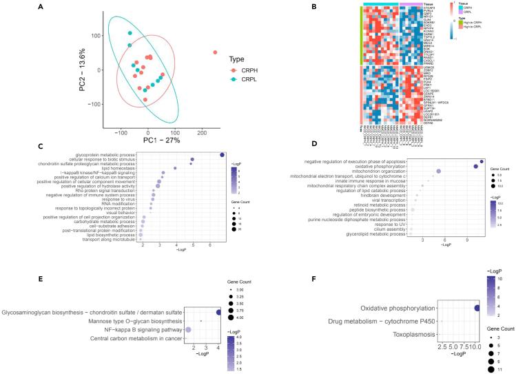 https://cdn.ncbi.nlm.nih.gov/pmc/blobs/6e52/8170125/df29008c8e3b/gr2.jpg