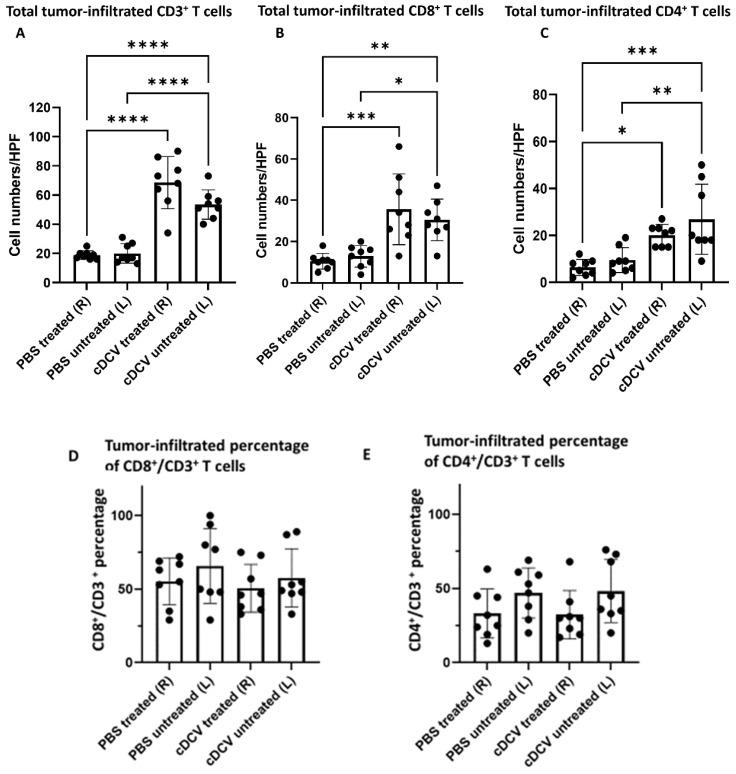 https://cdn.ncbi.nlm.nih.gov/pmc/blobs/6e53/11482638/717c9ac7aa45/cancers-16-03251-g002a.jpg