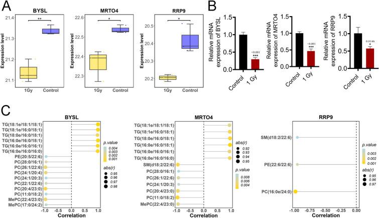 https://cdn.ncbi.nlm.nih.gov/pmc/blobs/6e53/12036141/05f75c52f2ba/40001_2025_2578_Fig6_HTML.jpg