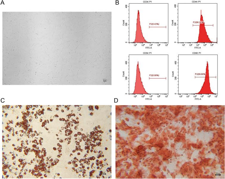 https://cdn.ncbi.nlm.nih.gov/pmc/blobs/6e53/12036141/1d77339de840/40001_2025_2578_Fig1_HTML.jpg