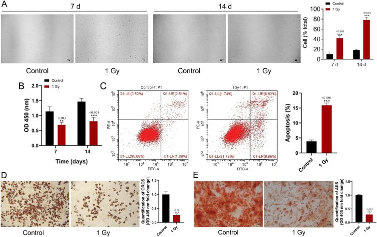 https://cdn.ncbi.nlm.nih.gov/pmc/blobs/6e53/12036141/38557ba4e7fe/40001_2025_2578_Fig2_HTML.jpg