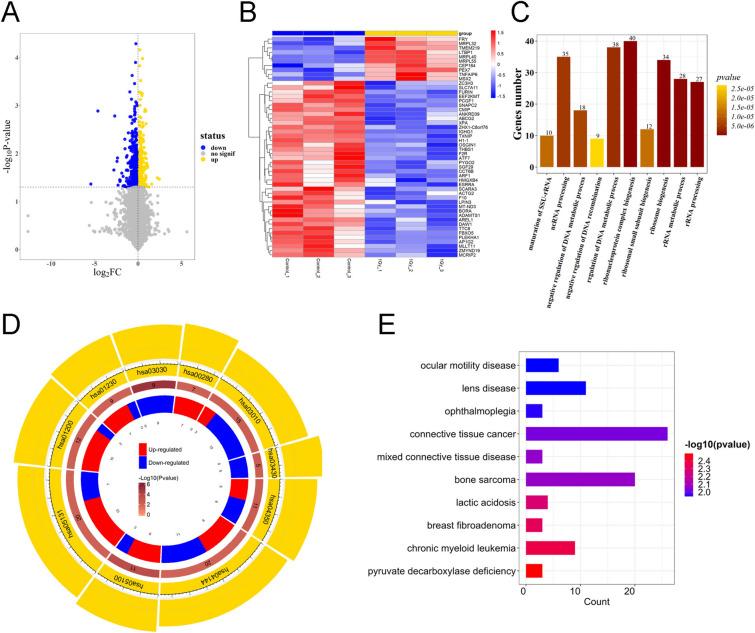 https://cdn.ncbi.nlm.nih.gov/pmc/blobs/6e53/12036141/4a363312e3cf/40001_2025_2578_Fig4_HTML.jpg