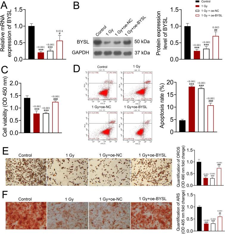 https://cdn.ncbi.nlm.nih.gov/pmc/blobs/6e53/12036141/50b2dc84f8dc/40001_2025_2578_Fig7_HTML.jpg