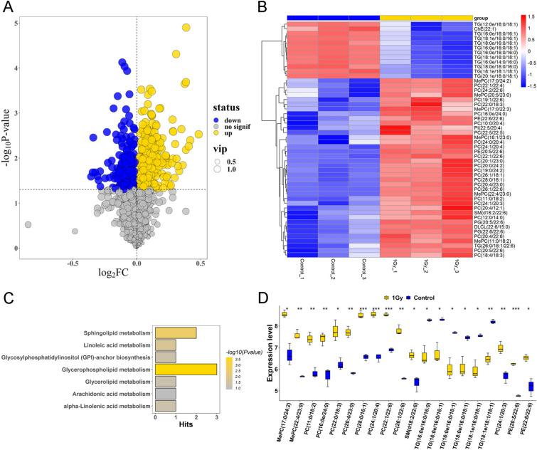 https://cdn.ncbi.nlm.nih.gov/pmc/blobs/6e53/12036141/7909a297728c/40001_2025_2578_Fig3_HTML.jpg