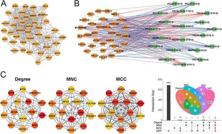 https://cdn.ncbi.nlm.nih.gov/pmc/blobs/6e53/12036141/81986be50fd1/40001_2025_2578_Fig5_HTML.jpg