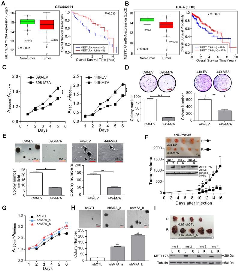 https://cdn.ncbi.nlm.nih.gov/pmc/blobs/6e54/5737565/5b5f21126f7b/gkx667fig6.jpg