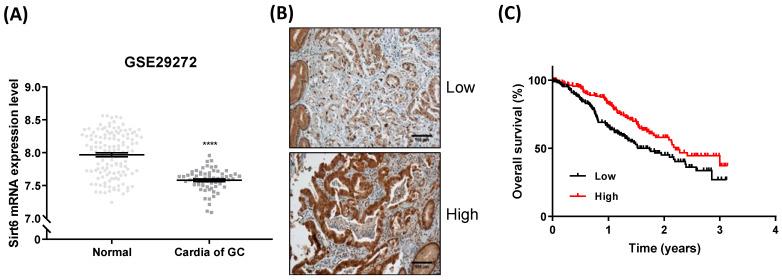 https://cdn.ncbi.nlm.nih.gov/pmc/blobs/6e59/10814469/06335f443c8c/cancers-16-00387-g001.jpg
