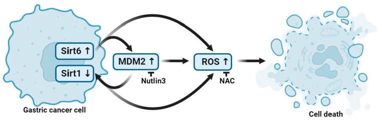 https://cdn.ncbi.nlm.nih.gov/pmc/blobs/6e59/10814469/b712732df139/cancers-16-00387-g006.jpg