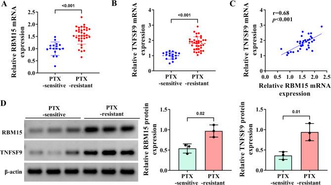 https://cdn.ncbi.nlm.nih.gov/pmc/blobs/6e5c/12362948/60d503423ebd/41065_2025_534_Fig7_HTML.jpg