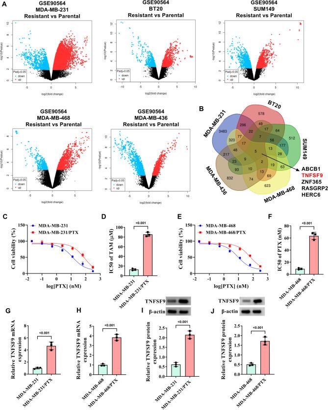 https://cdn.ncbi.nlm.nih.gov/pmc/blobs/6e5c/12362948/9b44e105d934/41065_2025_534_Fig1_HTML.jpg