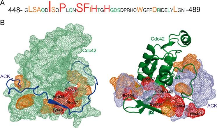 https://cdn.ncbi.nlm.nih.gov/pmc/blobs/6e5c/5500802/6adee76a71d1/zbc0301769980006.jpg