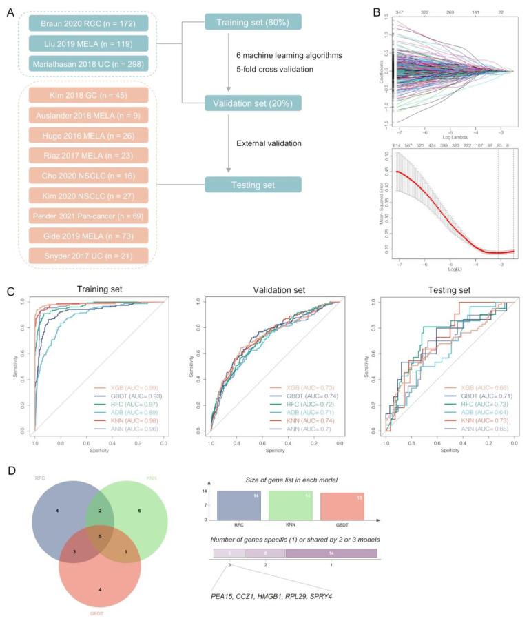 https://cdn.ncbi.nlm.nih.gov/pmc/blobs/6e5c/9855438/50dda12cde82/biomolecules-13-00185-g007.jpg